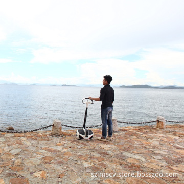 Inmotion Sensor Controlled Vehicle